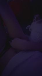 lalasexy : 最溫柔又色的發浪呻吟著…旁邊有隻傻眼貓咪🐱
