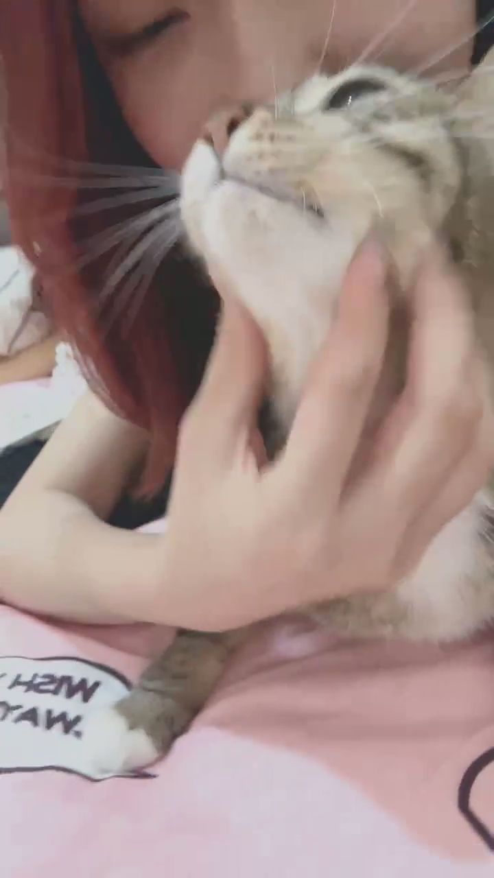  : 我的女兒～🐱✨ #貓咪日常 #溫柔互動 #居家生活