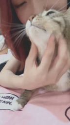 wen_ww : 我的女兒~🐱✨ #貓咪日常 #溫柔互動 #居家生活