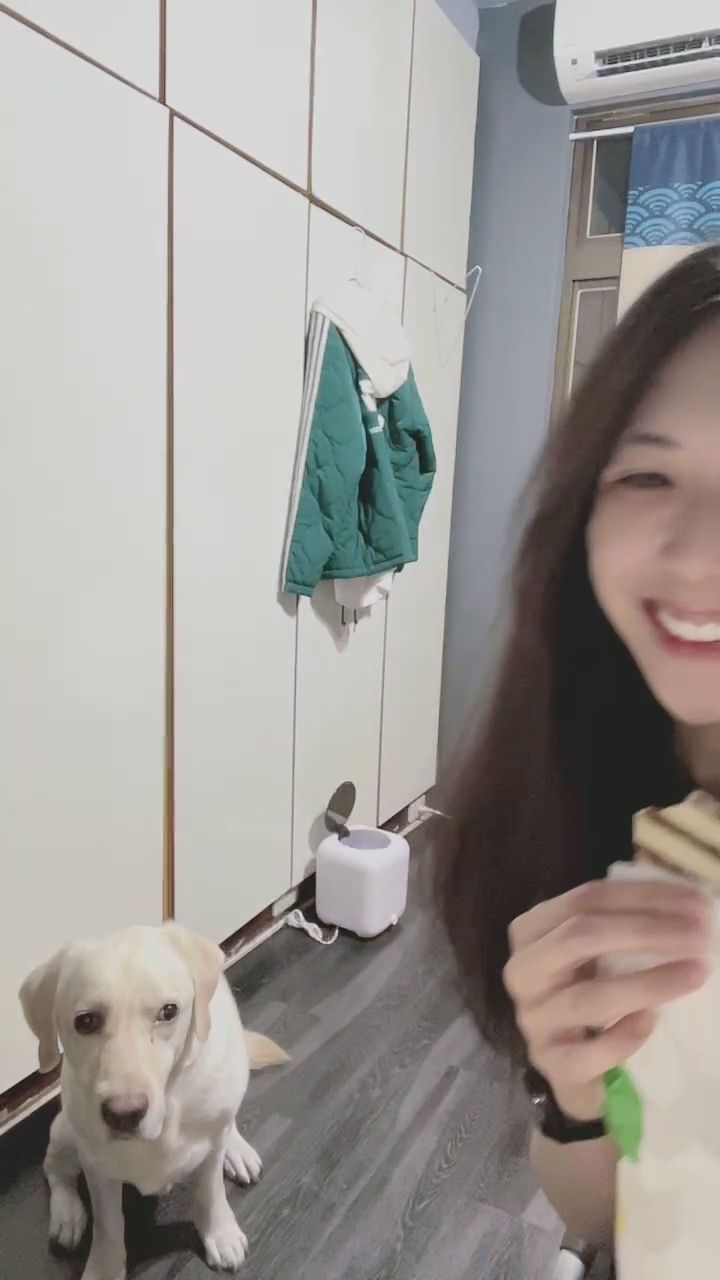beatrice_ : 吃一口甜點,再看看旁邊的小可愛,這種療癒畫面誰能抗拒?🐶🍰 #萌寵互動 #吃貨女孩 #療癒系 #日常碎片