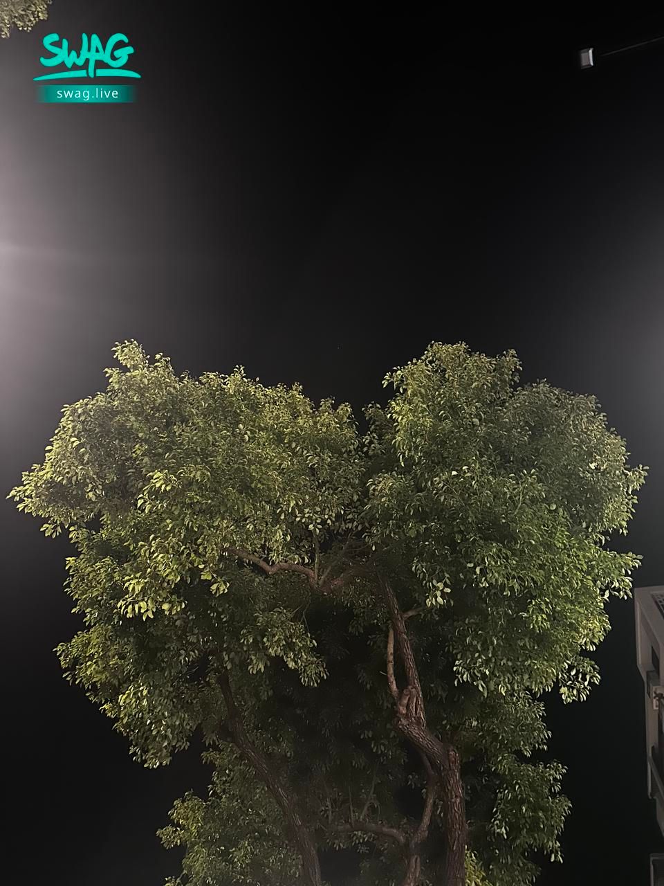 aprillady : 特別想要穩穩地幸福