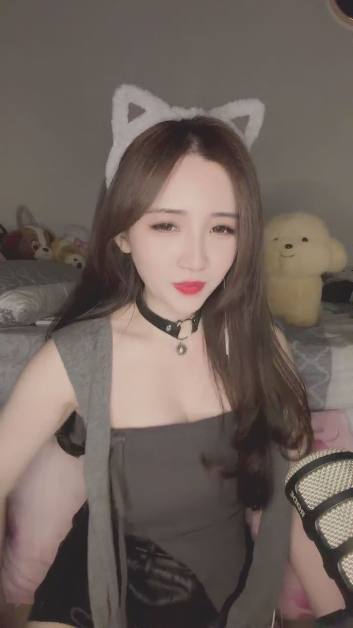  : 累了嗎？快點進來吸貓吧🤭🤭