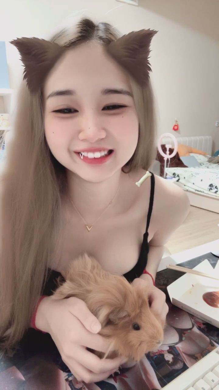  : 這角度...你真的有在看天竺鼠嗎？👀🐹 #性感 #貓耳 #流量密碼