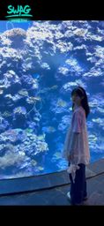 meijiu__ : 屏東海生館~o(≧v≦)o
除了車程遠了些以外 是個非常值得去的地方