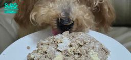 yoda0_02 : 雖然媽咪弄的蛋糕賣相很糟😅但我還是很愛吃Babe