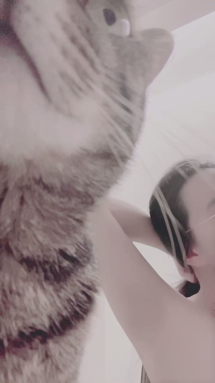  : ✨直播碎片✨洗完澡～貓貓也想上播🐱💻 #直播日常 #貓咪日常 #突發狀況 #搞笑花絮
