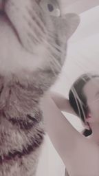 lenababy : ✨直播碎片✨洗完澡~貓貓也想上播🐱💻 #直播日常 #貓咪日常 #突發狀況 #搞笑花絮