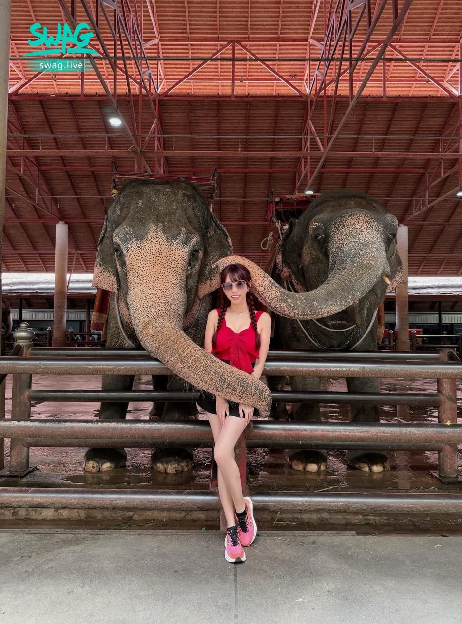 ninibaby : 今天被全泰國最鹹豬手的「大象先生」騷擾了🐘
畫面太色我都不好意思看🫣你們說牠是不是過份了?
大象都懂得親密互動💕你還不上線陪我聊天嗎?Babe快來保護我🙈不然我要被大象帶走了😜