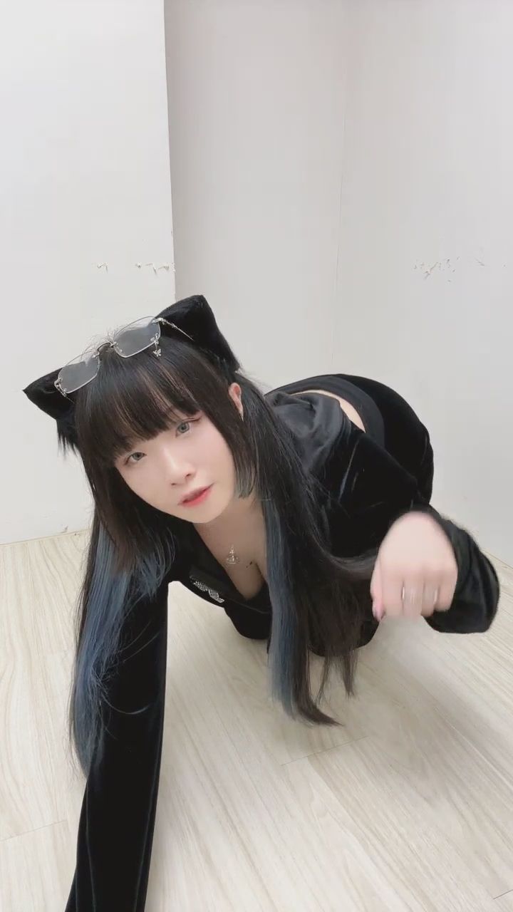 : 貓趴互動
