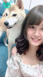 qaz87569798 : 收編我的這隻柴🐶