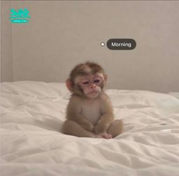 babyeah : 天天如此🍌