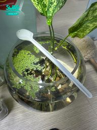 qa_sotatek002 : Test 124 15:53{qa_sotatek002}