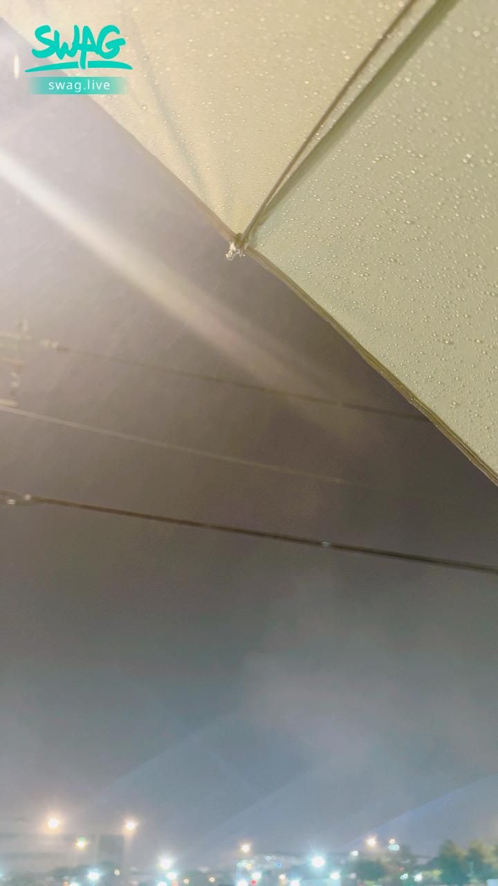 nanalittlepupy : 這雨…我後悔出門了🌧️還不如在家陪你們