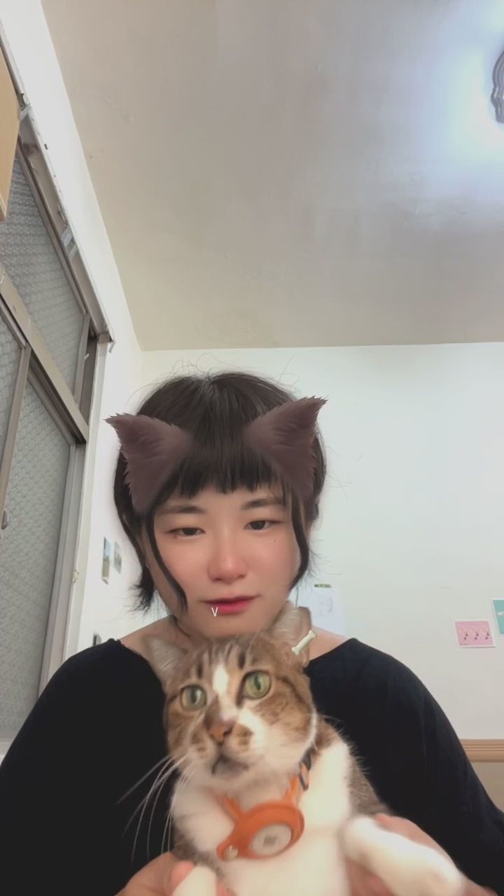 meow_tw : 連貓咪都被溫柔融化了～你羨慕這隻小貓咪嗎？🐈✨ #療癒 #溫柔瞬間 #居家日常
