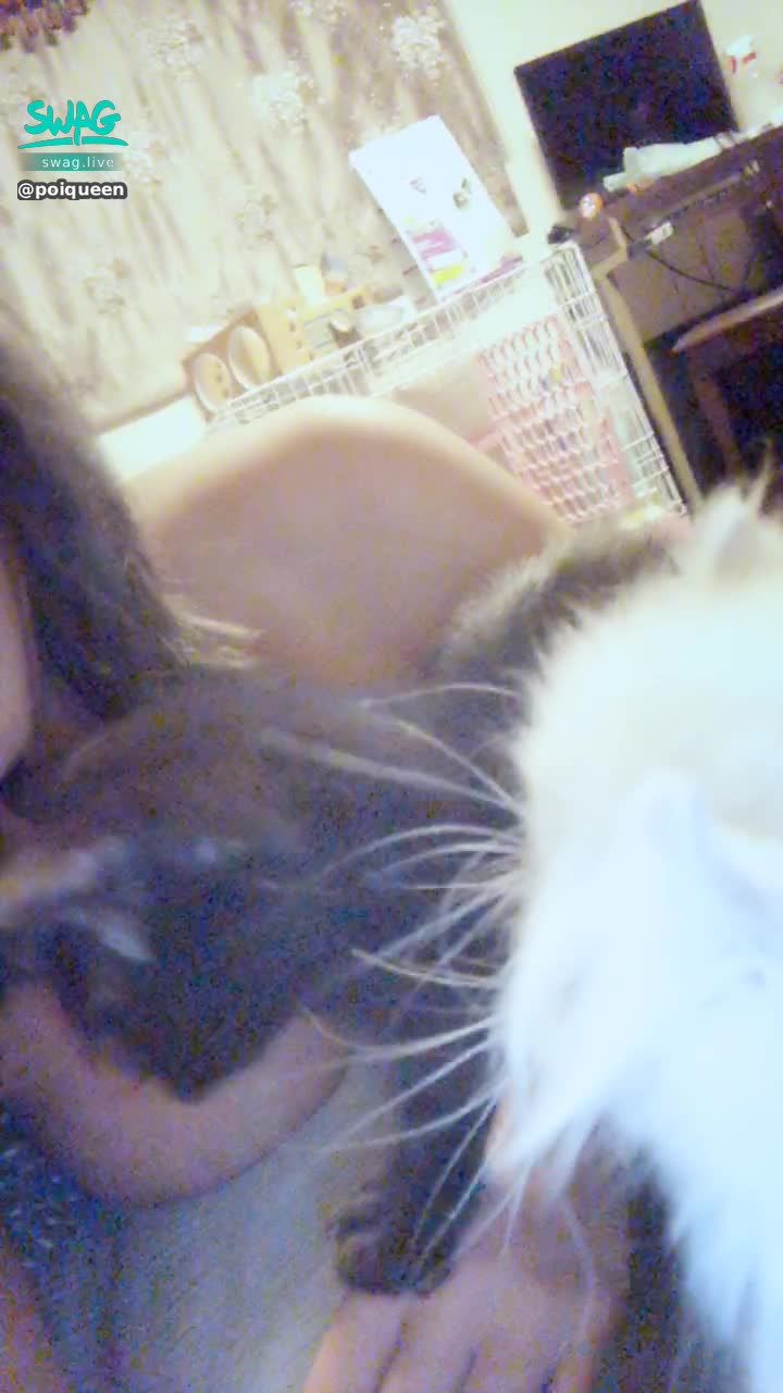 poiqueen : 回覆下一句 贈露臉淫片