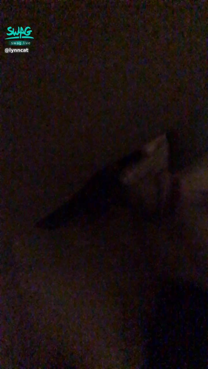 l*****t : 🔞第二戰💦一直逼我含他的棒棒👅                             🔥情人的敘舊總是特別激情🔥                                 ❗️解鎖絕對不會後悔只會讓你硬😈看貓咪含棒棒😍