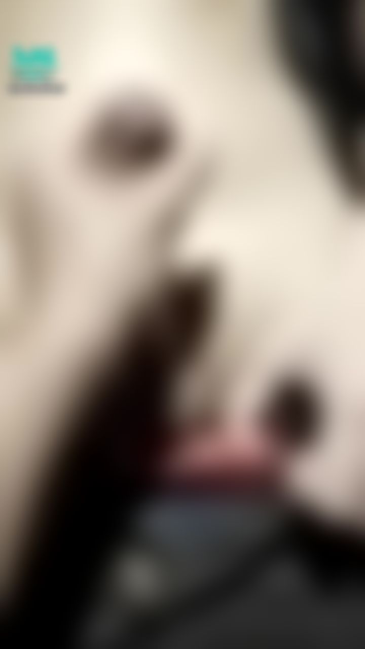  : 滿滿我的淫蕩口水  超讚😈🔞