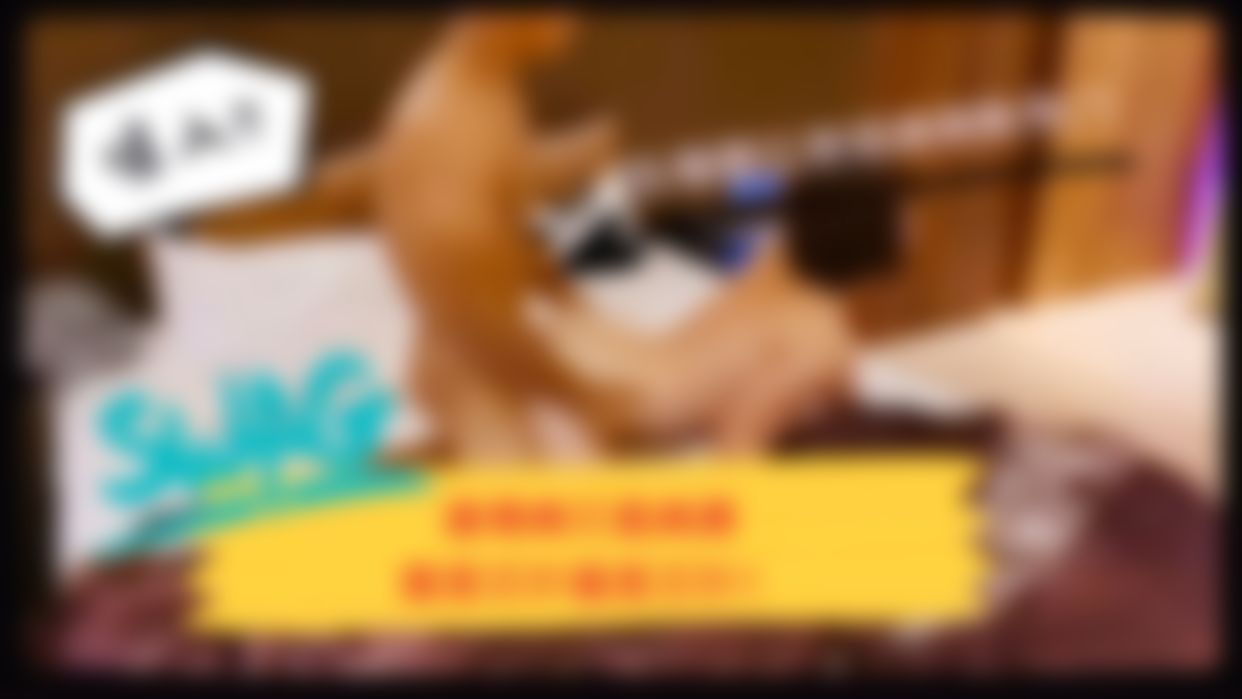 a*********y : 肌肉男身材太好插的我不要不要的
隔天我還全身痠痛🥰🥰🥰🥰💦
淫水還噴滿整張床呢~