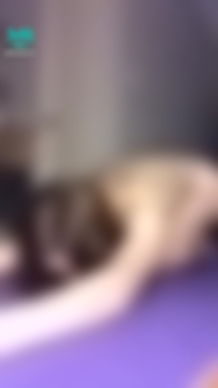  : I need massage 🤤🤤🤤🤤