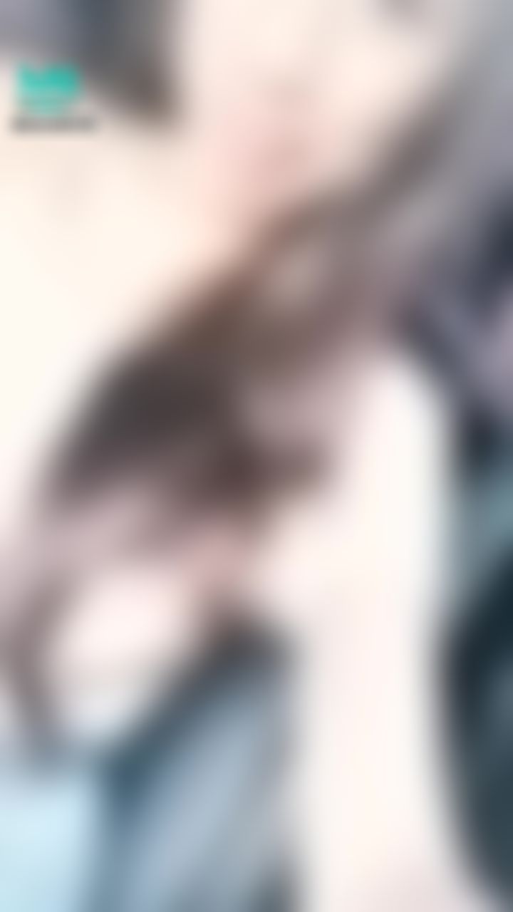  : 露臉❤️約會穿搭❤️
你的專屬甜笑🍭
你的專屬一日女友
想帶我去哪裡呀～～