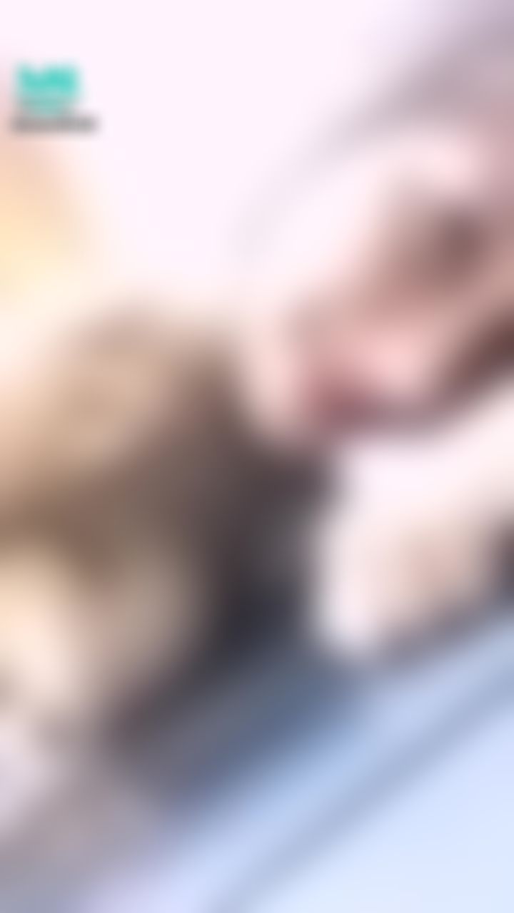  : 🔞惠子最大尺度🔞‼️4p‼️新巨作🔥3位學長「輪流」🤤享受「惠子的洞洞」塞滿淫蕩的精液💦💦💦
https://go.swag.live/jd7M3KVQXw2cHWoy7

❔❔❔聽說「做愛可以提升運動能力」，為了讓學長們「提升」「精」神🈵️，於是主動的含起了三根巨屌，學長們脫掉惠子的內褲，玩起了她的小騷穴，學長們輪流進入她的身體，三人同時享受惠子的洞洞，讓惠子好滿足，最後射在惠子身體裡臉上也被射🈵️了精液💦，惠子也露出了滿足的笑容😋🥰🥰想跟我踢足球嗎🥺私訊我❤️❤️滿足你🔞