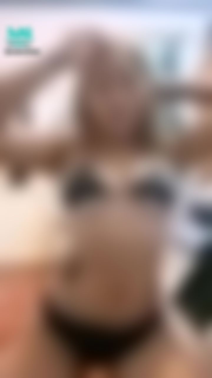  : 😈淫蕩小惡魔😈 舔奶頭🤪晃巨乳🤫