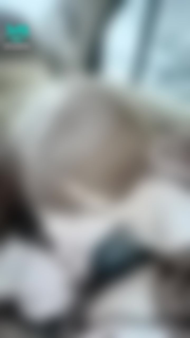 : 💥知名美式賣場停車場就⋯🔞淫蕩臉蛋吃的好認真啊‼️等不及直接把褲子扯掉抓著肉棒就往嘴裡塞了😱人家就是很想要嘛⋯