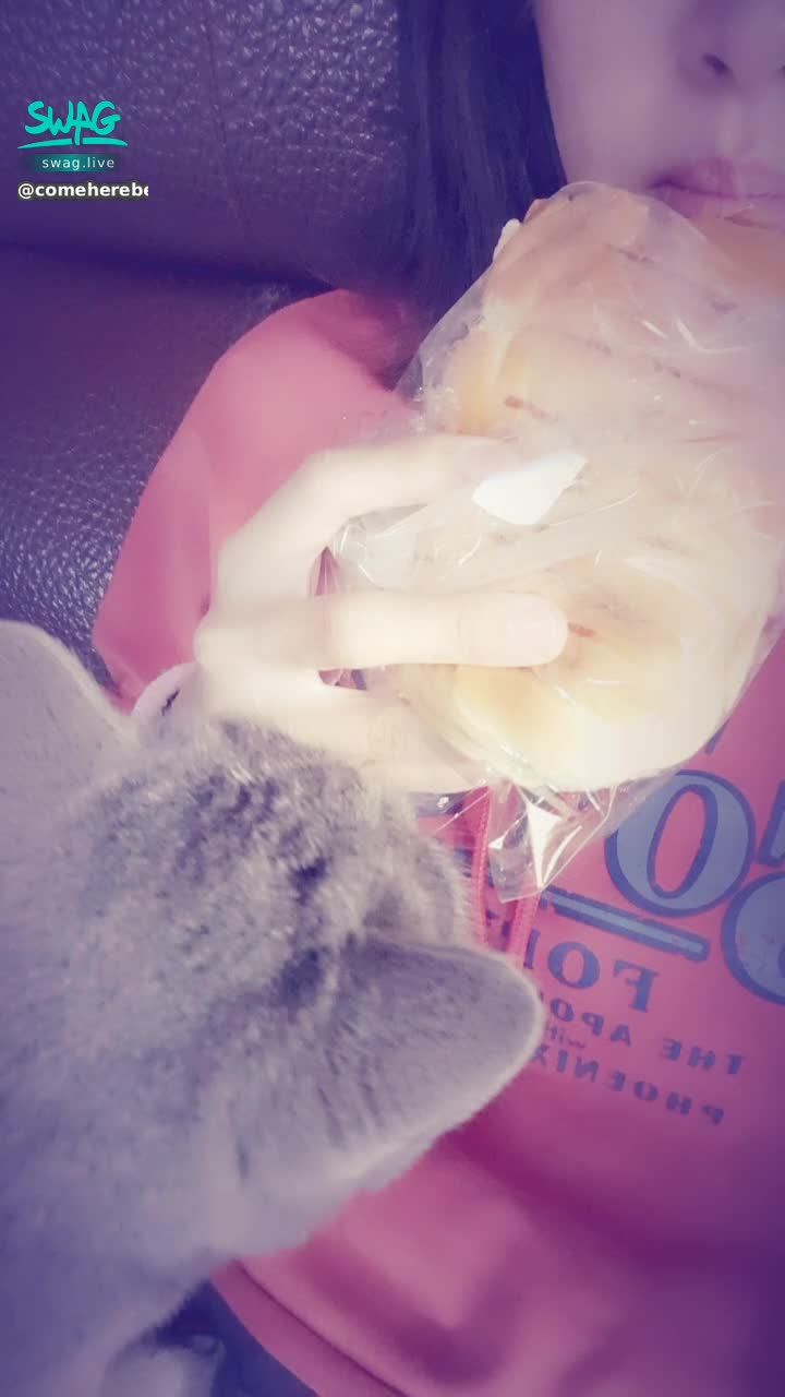 c**********e : 嗯……麵包好好吃……但妳不能吃
