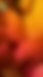 iam_neko :
