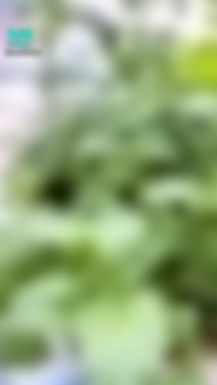 : 完蛋了…選擇障礙了
晚餐要吃什麼呢？
可以提供意見嗎😭😭