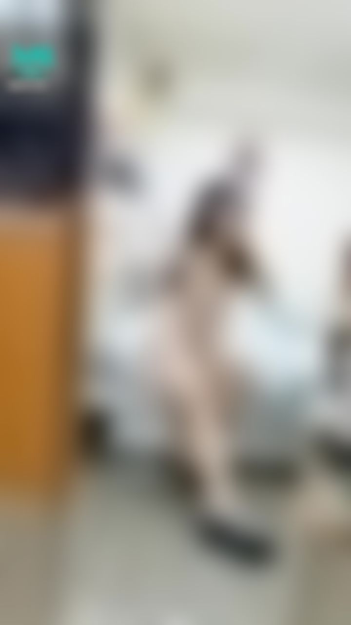 janicee : 低頭時，露出睡衣下的藍色bra💋💋💋
新買的內衣集中效果超好⭐⭐
這幾天都好累，而且為何最近蝦皮一直有人私訊想買原味衣呢？