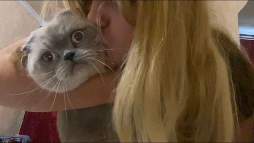 n******a : My kitty and twerk ๐ฅ