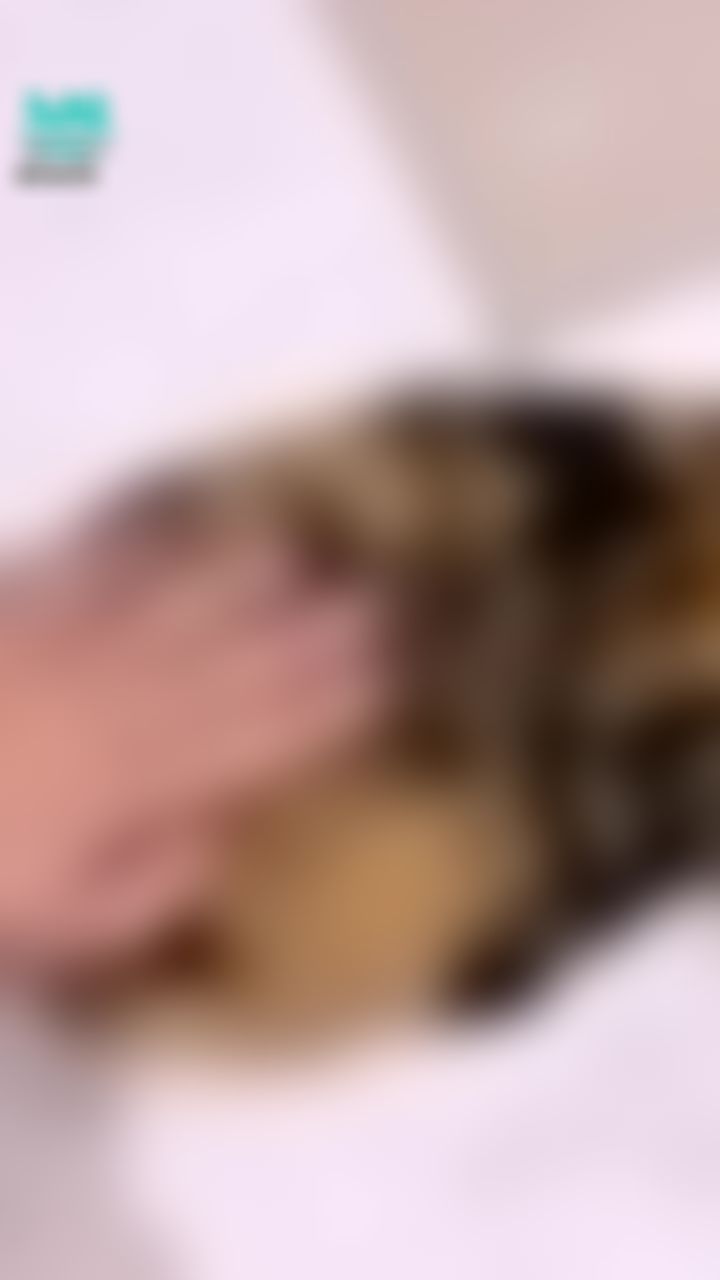  : 拍屁屁時間
