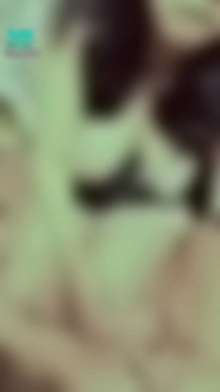 h*******y : 誘惑小夜貓😈