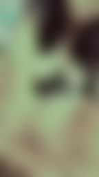 h*******y : 誘惑小夜貓😈