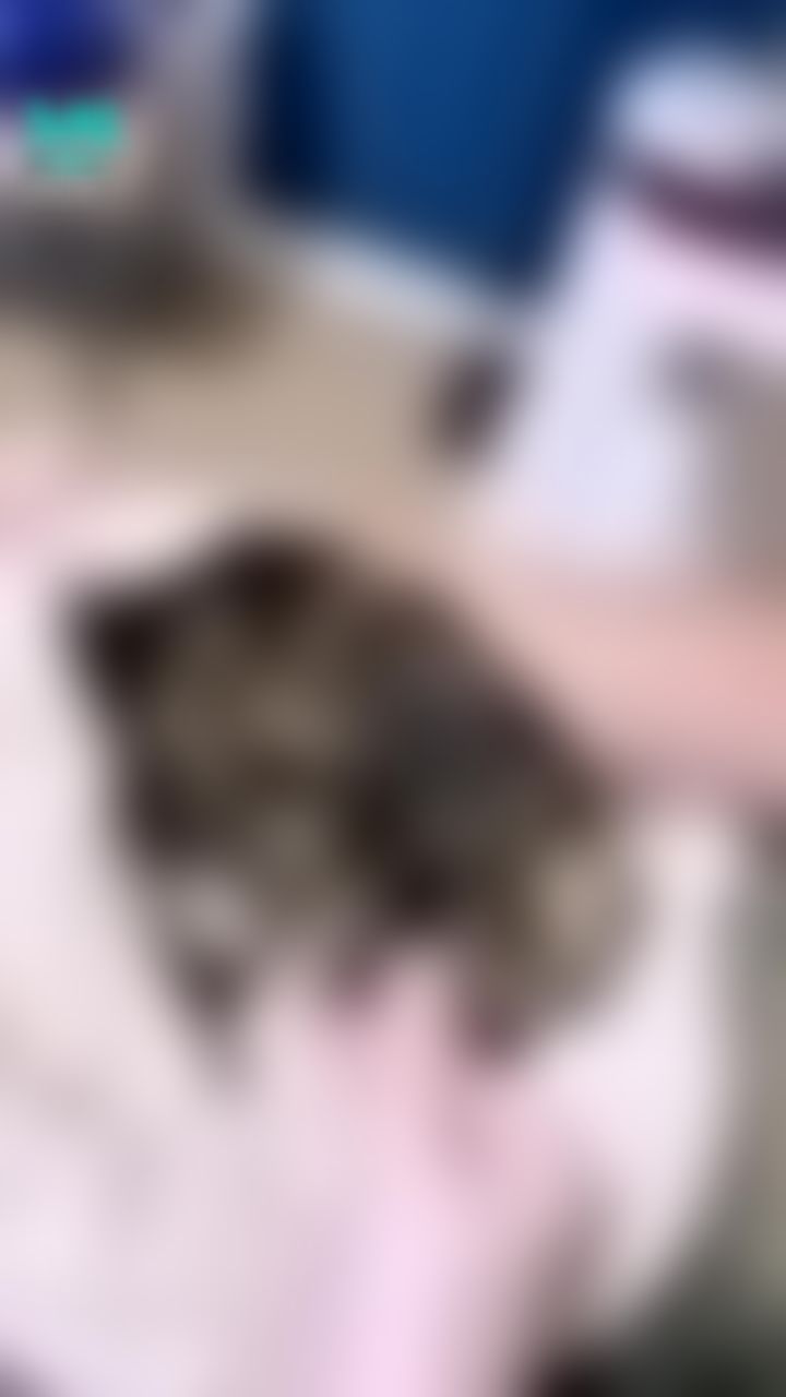 bobaby : 新養的寶貝女兒