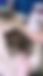 bobaby : 新養的寶貝女兒