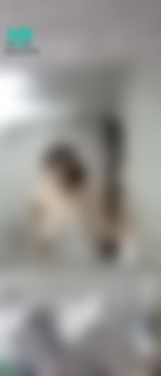  : 哈囉晚上好呦 桃桃給你們請安🍑
今天剛加入～有腿控哥哥嗎♥️
那上一篇一定要收藏🔓
解鎖的哥哥可以來私訊我看更多長腿照唷😊