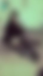 janicee : 短褲配🙈 🙉 🙊襪帶的背面,絕對領域的性感💗
吊襪帶配上孔雀大腿襪,之前一直覺得吊襪帶只是情趣玩具,直到我買了會一直掉下去的膝上襪…🤣
萬聖節快樂😈😈
peacock stocking👠