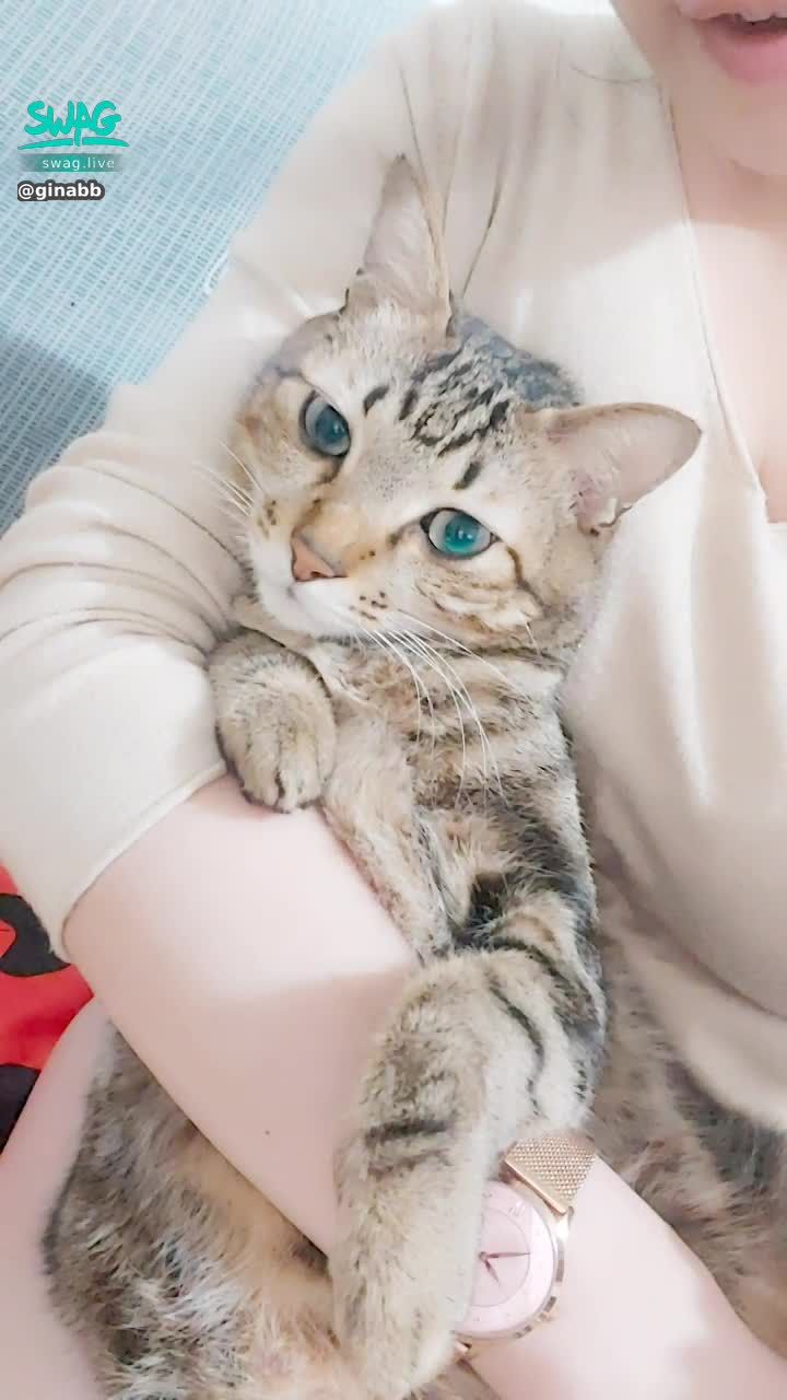 ginabb : my baby~ super cute 🥰🥰 hug every day 🤗🤗