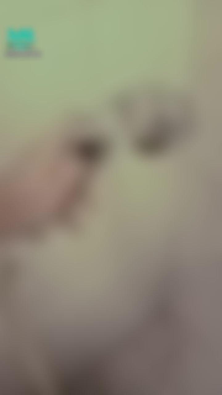  : 漏水囉