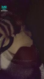 sweetievv : 暗暗的很刺激 哥哥點進來嗎😳