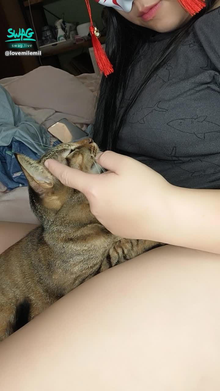  : 貓咪好可愛哦