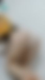 cocolunna : 淫荡小母狗想要用母狗趴让哥哥大力干 哥哥看我的腰力好不好😝 会摇到哥哥爽歪歪啦!!! 最后来个女上位给哥哥看大屁屁不停的摇🔥🔥🔥
🧧SWAG過年啪🧧
虎年行大運,SWAG 陪你春浪一整年