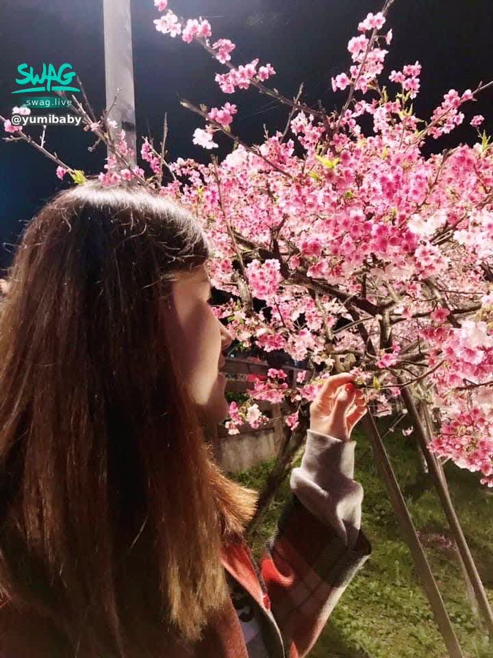  : 🌸 I'm waiting for you under the cherry tree 🌸

Cherry blossoms ❤️ Symbol of love and hope 🥺

Represents an elegant heart 🦩

The cherry blossoms hanging on the branches are like ignorant girls 🧸

Quietly waiting for spring, waiting for bloom 🌷

Pink and white cherry blossoms are the most beautiful language to tell spring ♥️