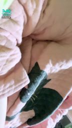 simonac : 殘寶貝開直播來就送免費影片(無需刷禮)玩指令🉐️噴水露臉私藏影片/ free videos giveaway & cheap command to get my Squirt video in my livestream!💦
