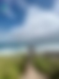 stellajs : 葡萄到了一個天氣晴朗的地方☀️猜猜是哪裡呢🤔