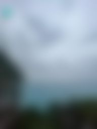 stellajs : 清水斷崖也走了好多路喔😅😅😅