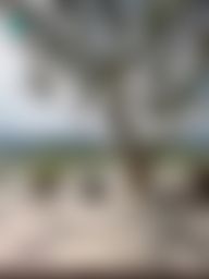 stellajs : 美照連發🥺🥺真的好美呀(自己說🤣🤣