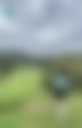 r*******r : 你最喜歡的運動是什麼呢?
